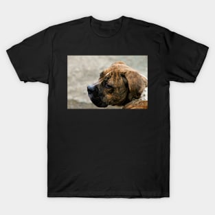 Poppy T-Shirt